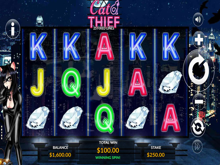 Cat Thief slot gameplay